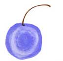 logo bleu cerise